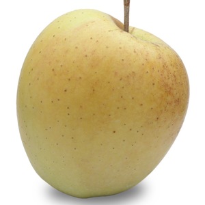 ვაშლი (გოლდენი)