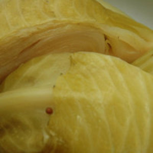 კომბოსტო