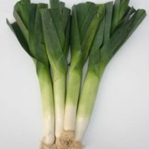 პრასი