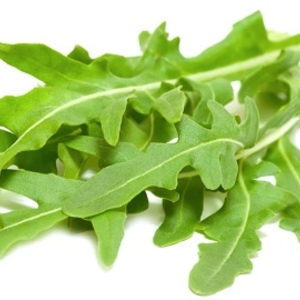 არგულა