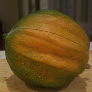 ყაბაყის სახეობა (Squash)