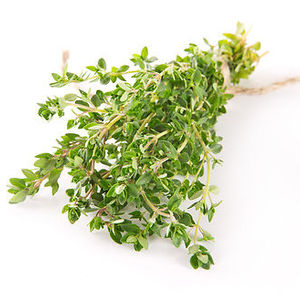 ბეგქონდარა (Thyme)