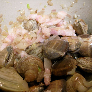 ვენერკები (Clams)