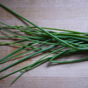 შნიტ-ხახვი (Chives)