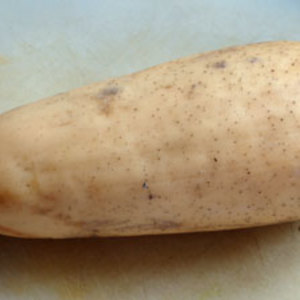 ლოტოსის ფესვი