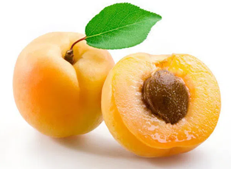გარგარი